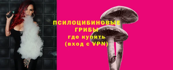 mix Алексин