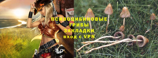 mix Алексин