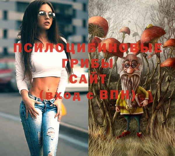 тгк Алексеевка